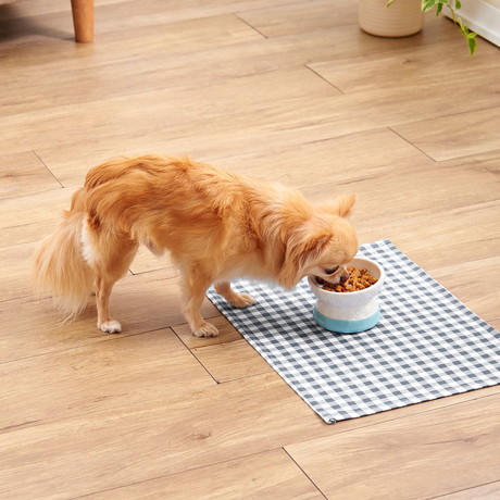 Add.Ｍate アドメイト 犬用食器 フードが食べやすい脚付き陶器食器 S
