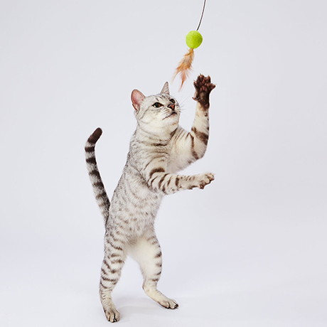 Add.Ｍate アドメイト 猫用おもちゃ Happiness Cat ウールボール 