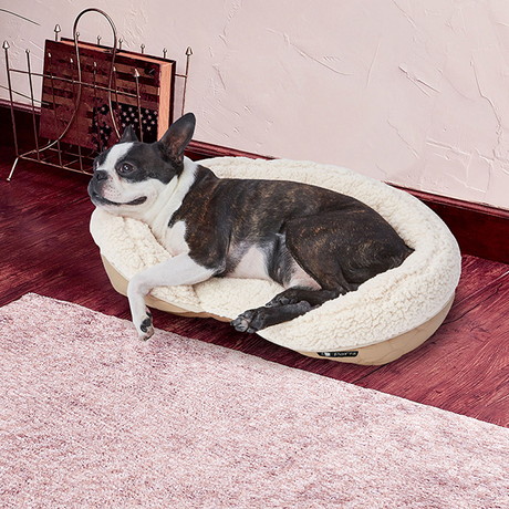 犬ベッドテオアイムクールベッド